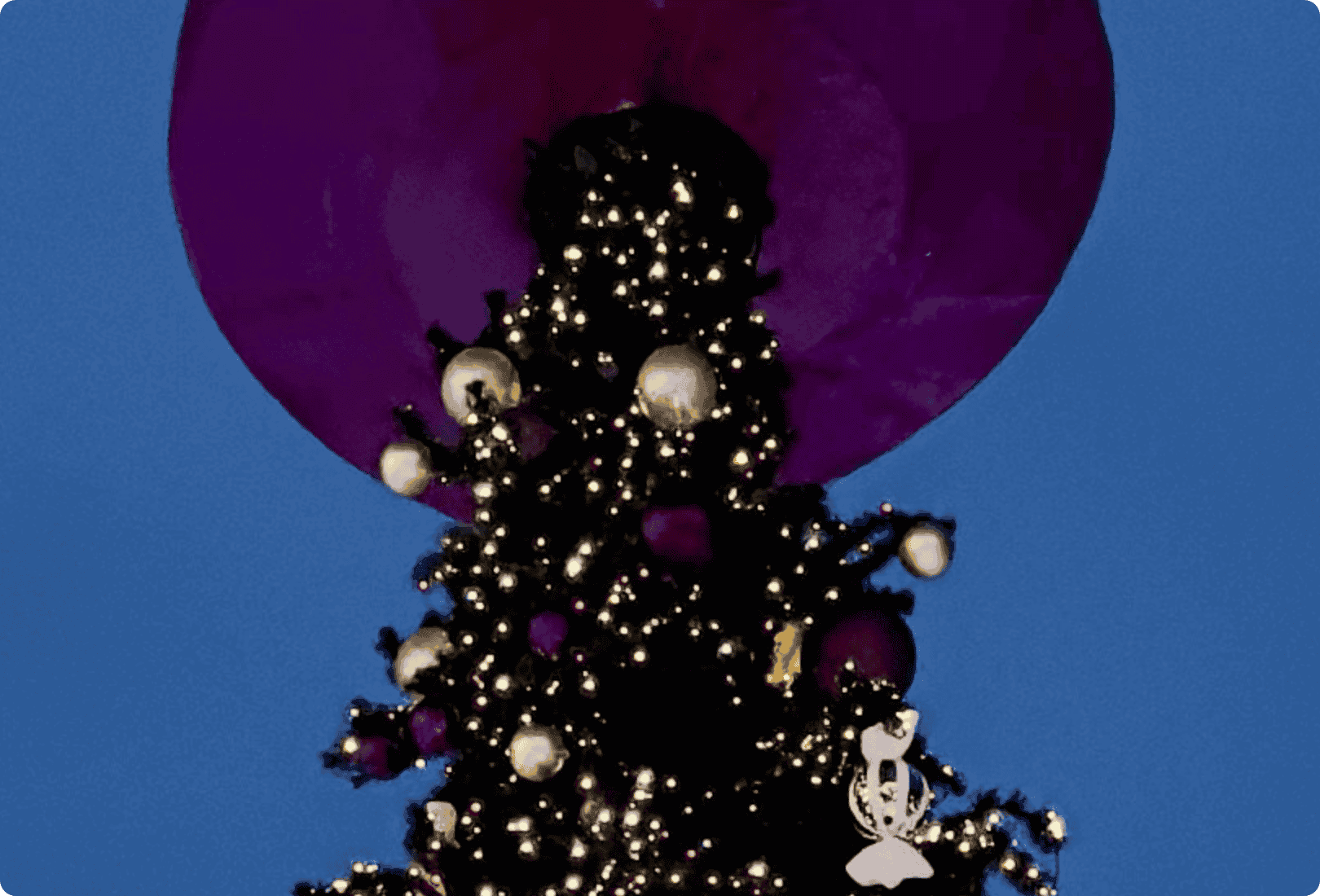 Complete Battery Solutions for Smarter Public Transport